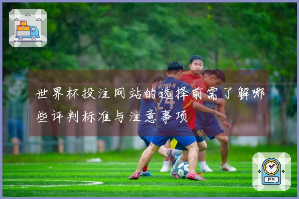 世界杯投注网站的选择前需了解哪些评判标准与注意事项