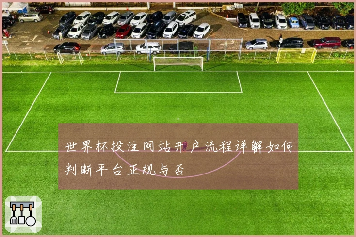 世界杯投注网站开户流程详解如何判断平台正规与否